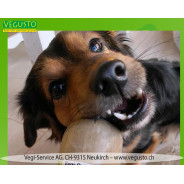 Vegusto-Dog Classique, Maxi-saucisse