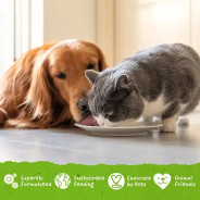 Benevo DUO pack de 12