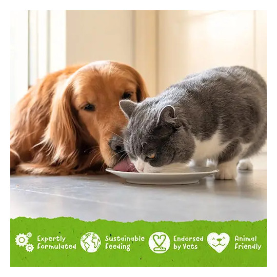 Benevo DUO pack de 12